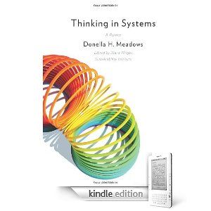 donella meadows thinking in systems pdf to word